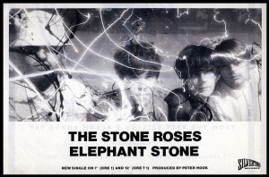 Elephant Stone Elephant Stone